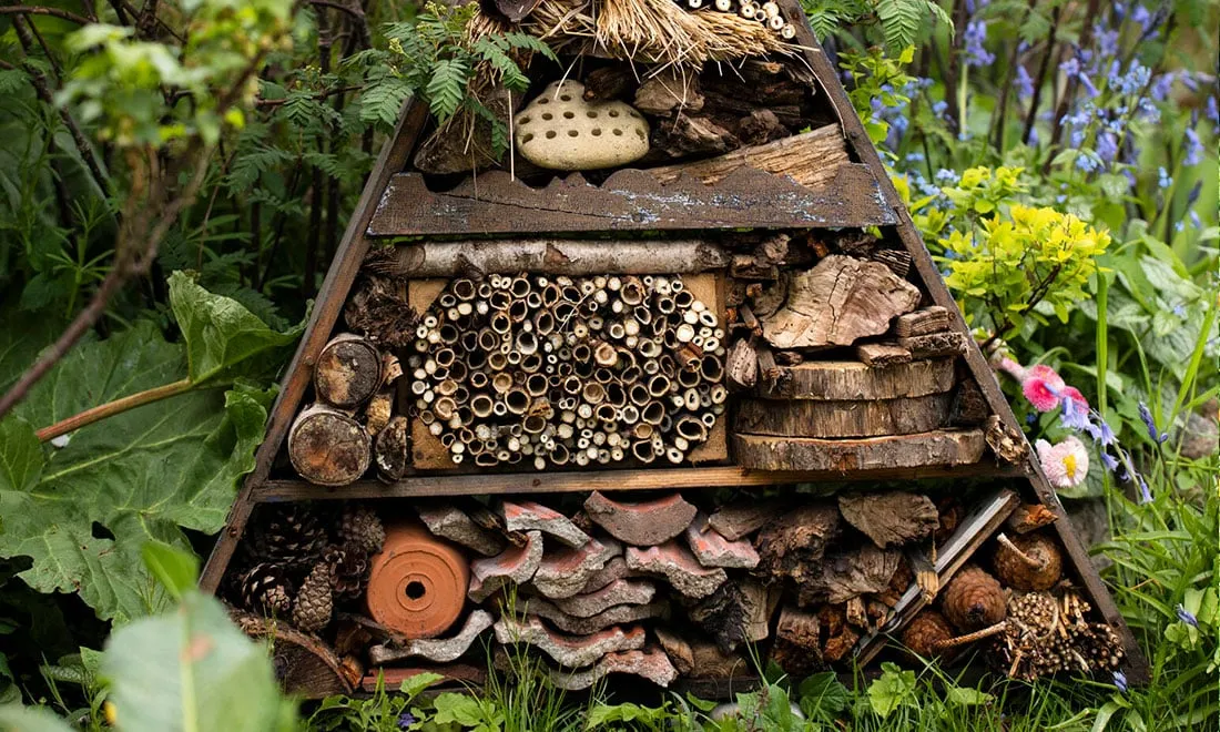 Så kan du bygga ett insektshotell själv