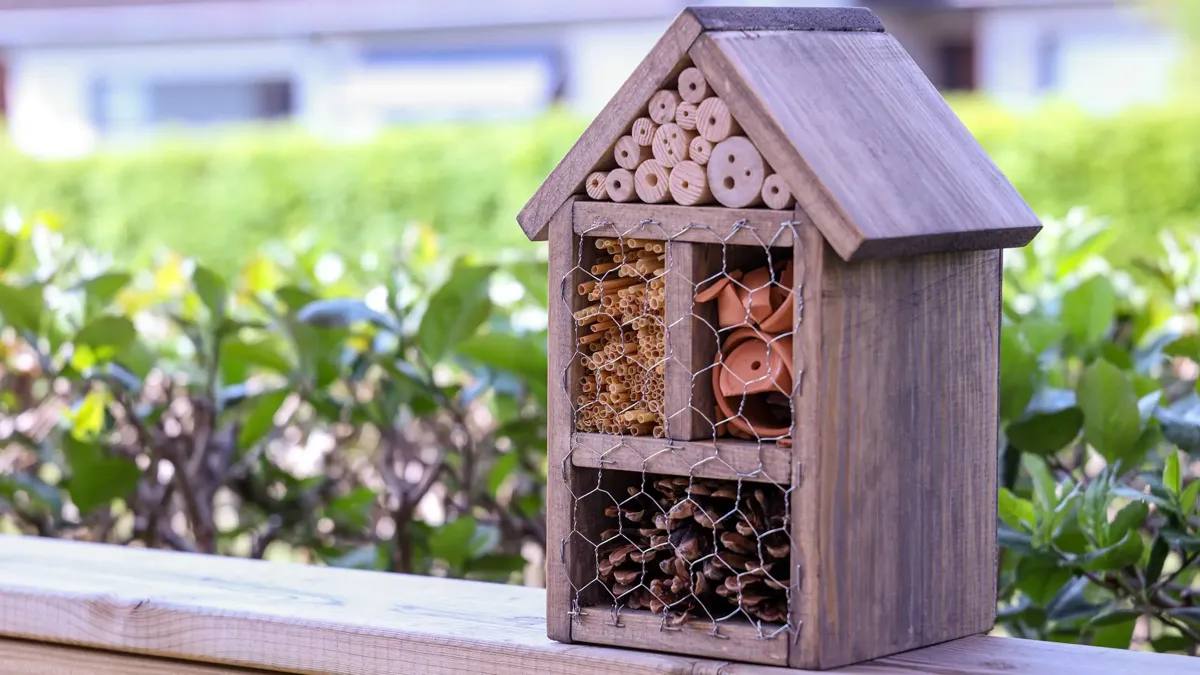 Vad är ett insektshotell?