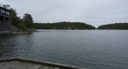 Utsikt från en brygga mot tallbevuxna öar vid en skärgårdskonferens Stockholm en stilla grå morgon.