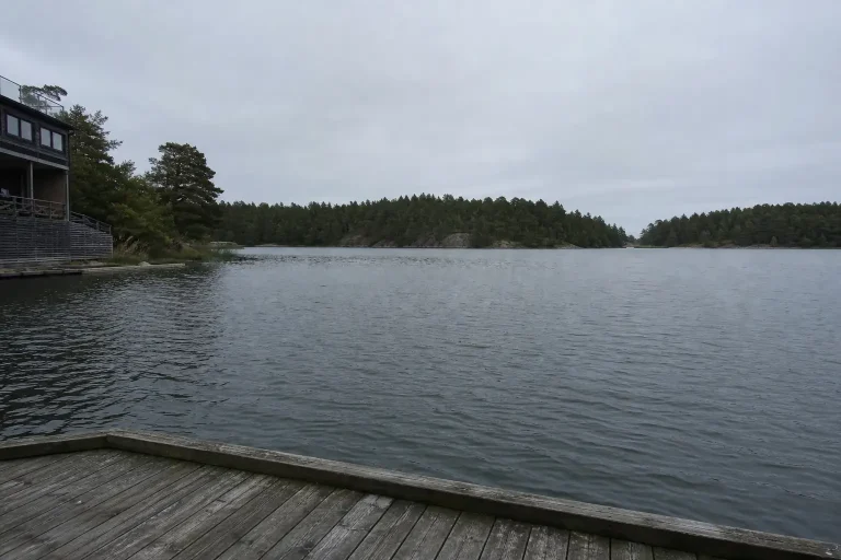 Utsikt från en brygga mot tallbevuxna öar vid en skärgårdskonferens Stockholm en stilla grå morgon.